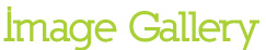 Image Gallery
